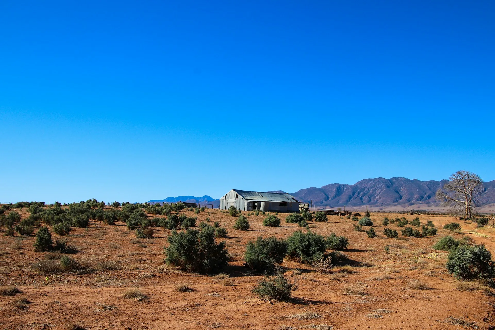 Desert home with mountain backdrop